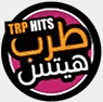 TRP Hits TV logo