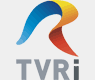 TVR Internacional logo