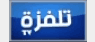 Telvza TV (nouvelle) — تلفزة تي في logo