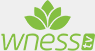 WNESS TV logo