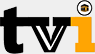 TVISLAAMAA logo