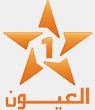 Laâyoune TV — العيوب logo
