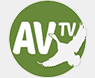 AV TV logo