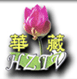 Hwazan TV logo
