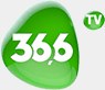 36.3 — телеканал 36.6 logo