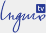 Indigo TV — Індиго ТВ logo
