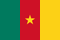 Camerún bandera